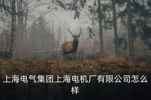 上海電氣集團上海電機廠有限公司怎么樣