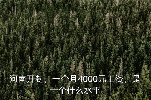 河南開封，一個月4000元工資，是一個什么水平
