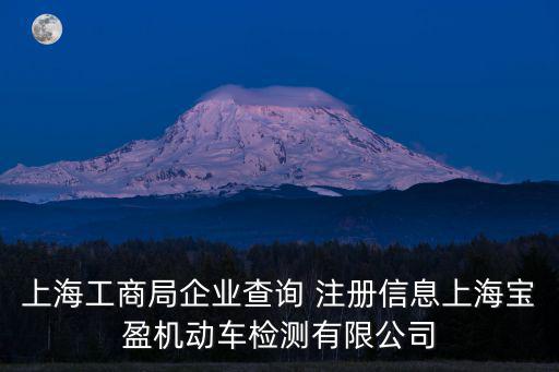 上海工商局企業信息查詢，有沒有上海信息管理中心這個公司