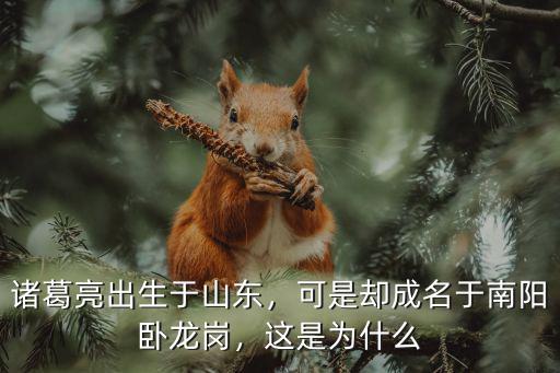 諸葛亮出生于山東，可是卻成名于南陽臥龍崗，這是為什么