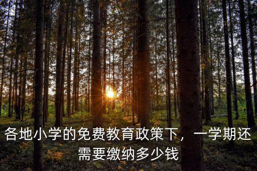 各地小學的免費教育政策下，一學期還需要繳納多少錢