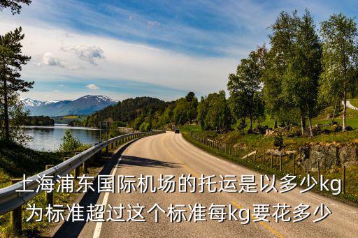 上海浦東國際機場的托運是以多少kg為標準超過這個標準每kg要花多少