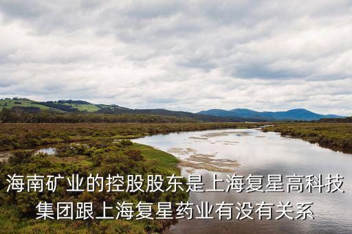 上海復星高科技，海南礦業的控股股東是上海復星高科技集團跟上海復星藥業有沒有關系