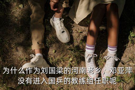 河南怎么評價(jià)劉國梁,如何評價(jià)劉國梁