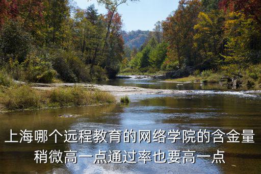 上海國家會計學院遠程教育網，中國會計視野的介紹