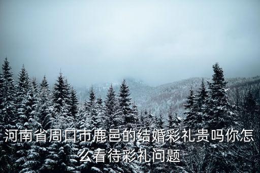 河南省周口市鹿邑的結婚彩禮貴嗎你怎么看待彩禮問題