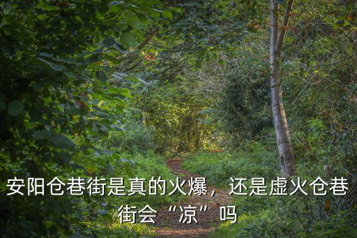 安陽倉巷街怎么申請攤位,安陽倉巷街是真的火爆