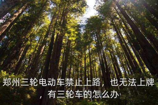 鄭州三輪電動車禁止上路，也無法上牌，有三輪車的怎么辦