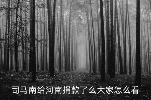 司馬南給河南捐款了么大家怎么看