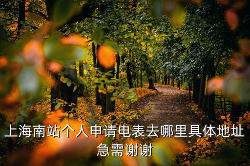 上海南站個(gè)人申請(qǐng)電表去哪里具體地址急需謝謝
