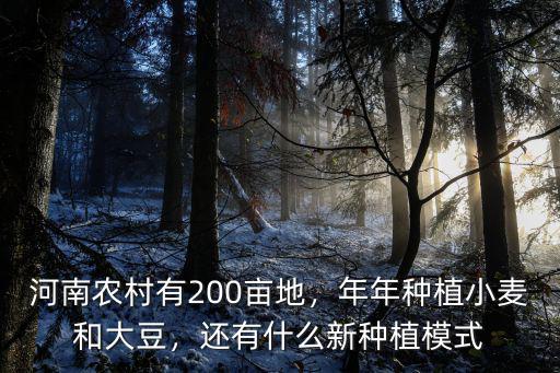 河南農(nóng)村有200畝地，年年種植小麥和大豆，還有什么新種植模式