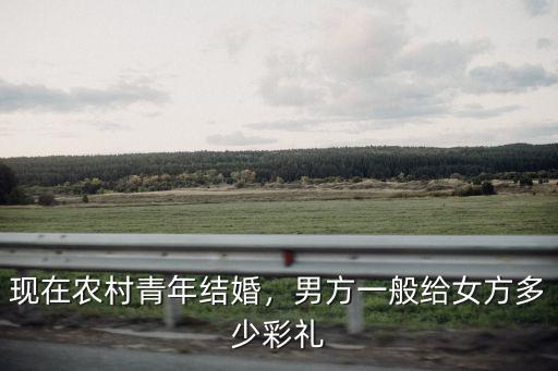 現(xiàn)在農(nóng)村青年結(jié)婚，男方一般給女方多少彩禮