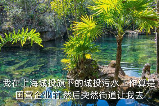 我在上海城投旗下的城投污水工作算是國營企業的 然后突然街道讓我去