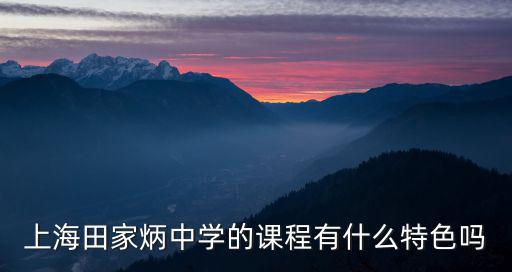 上海市田家炳中學，上海田家炳中學好不好