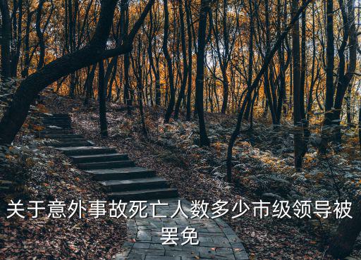 關于意外事故死亡人數多少市級領導被罷免