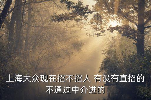 上海大眾大廈，上海大眾在什么地方