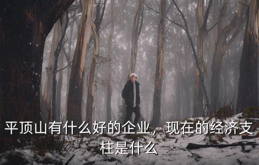 平頂山這幾年的經(jīng)濟(jì)怎么,平頂山有什么好的企業(yè)