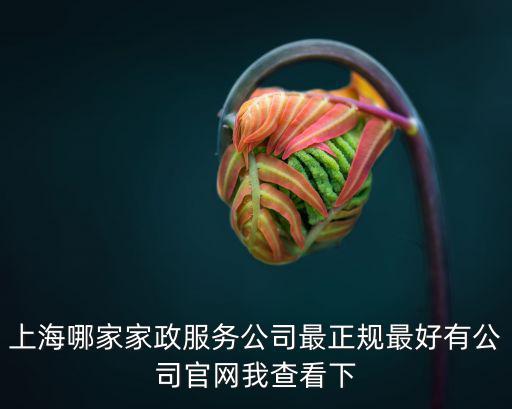 上海哪家家政服務公司最正規最好有公司官網我查看下