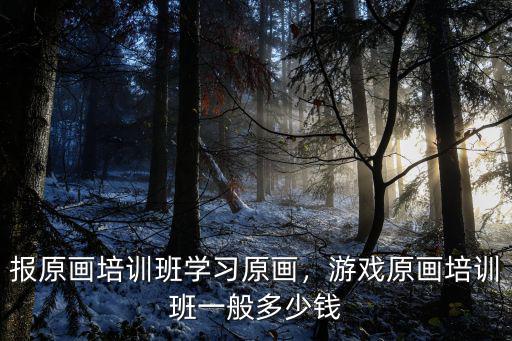 洛陽原畫培訓要多少錢,報原畫培訓班學習原畫