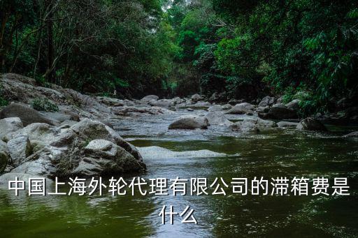 中國上海外輪代理有限公司的滯箱費是什么