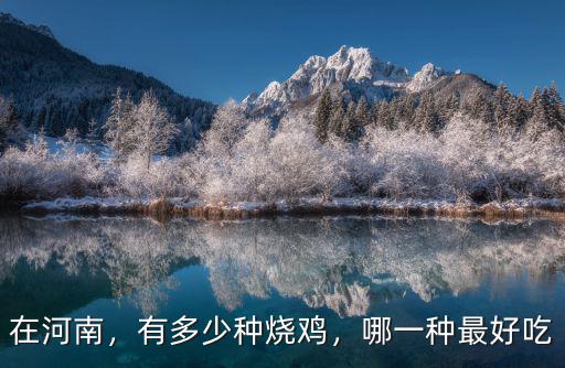 鄭州好吃的燒雞在哪里,鄭州哪一家的道口燒雞最正宗