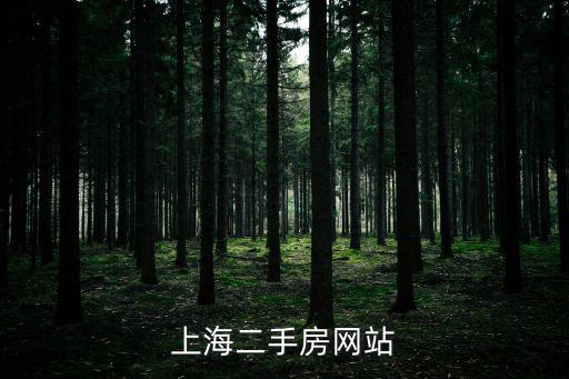上海房屋出售，上海二手房網(wǎng)站