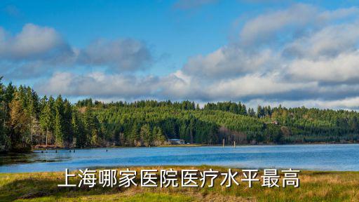 上海哪家醫院醫療水平最高