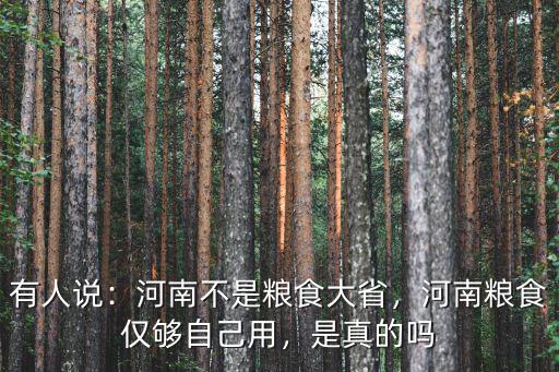 有人說：河南不是糧食大省，河南糧食僅夠自己用，是真的嗎