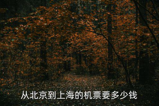 從北京到上海的機票要多少錢