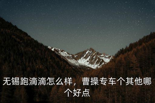 無錫跑滴滴怎么樣，曹操專車個其他哪個好點
