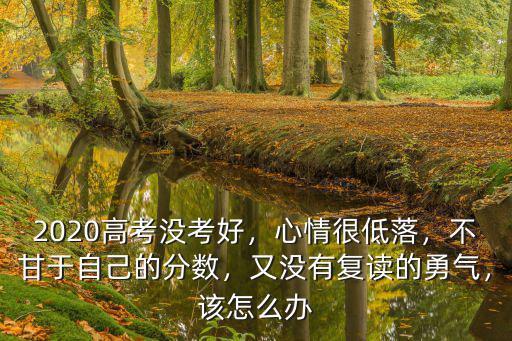 2020高考沒考好，心情很低落，不甘于自己的分數，又沒有復讀的勇氣，該怎么辦