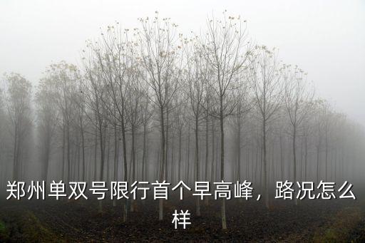 鄭州單雙號怎么限行,鄭州單雙號限行到四環