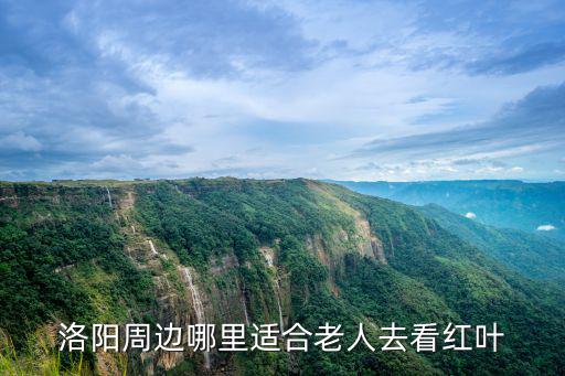 洛陽紅葉嶺在哪里,洛陽哪里可以欣賞紅葉風景