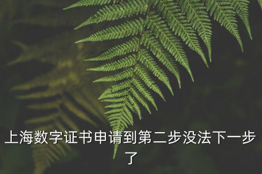 上海數字證書申請到第二步沒法下一步了