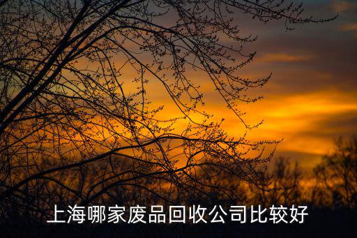 上海哪家廢品回收公司比較好
