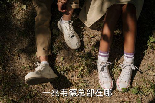 一兆韋德總部在哪