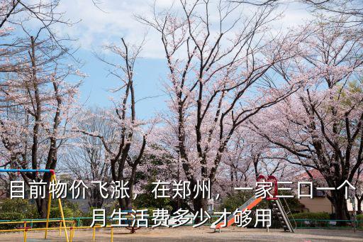 目前物價飛漲，在鄭州，一家三口一個月生活費多少才夠用