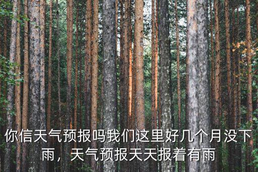 你信天氣預報嗎我們這里好幾個月沒下雨，天氣預報天天報著有雨