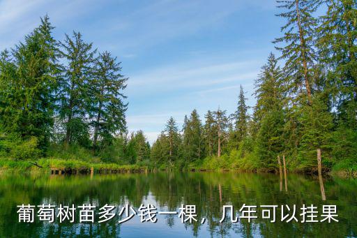 鄭州純正葡萄苗多少錢一棵,葡萄樹苗多少錢一棵