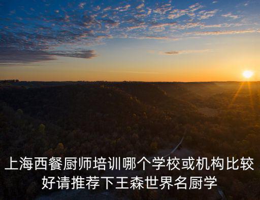 上海西餐廚師培訓哪個學校或機構比較好請推薦下王森世界名廚學
