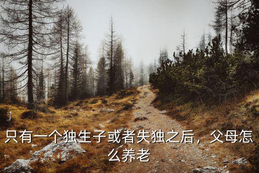 只有一個獨(dú)生子或者失獨(dú)之后，父母怎么養(yǎng)老