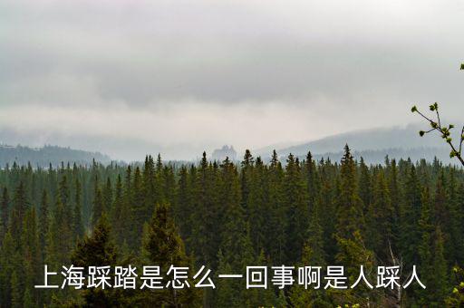 上海踩踏，上海外灘踩踏事件主要原因是什么引起的