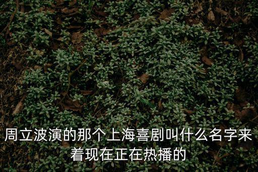 周立波演的那個上海喜劇叫什么名字來著現在正在熱播的