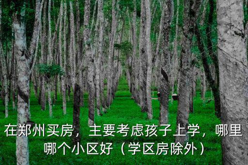 在鄭州買房，主要考慮孩子上學，哪里哪個小區好（學區房除外）