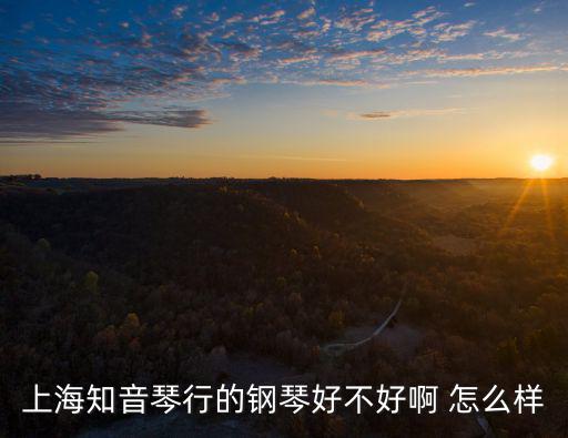 上海知音琴行的鋼琴好不好啊 怎么樣