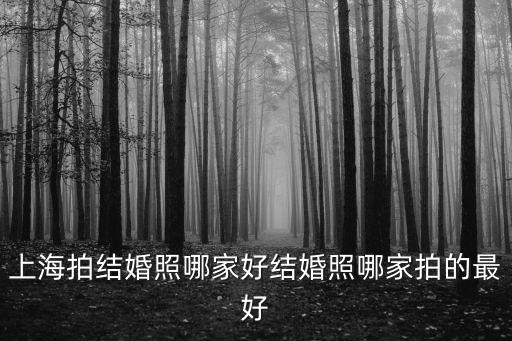 上海拍結(jié)婚照哪家好結(jié)婚照哪家拍的最好