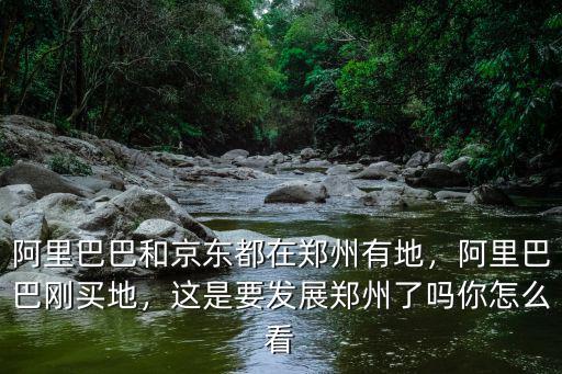 鄭州京東辦公地址在哪里,阿里巴巴和京東都在鄭州有地