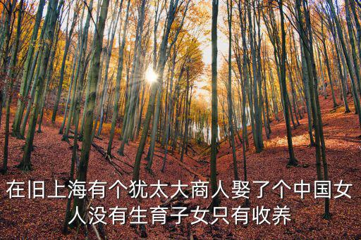 在舊上海有個猶太大商人娶了個中國女人沒有生育子女只有收養
