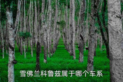 雪佛蘭科魯茲屬于哪個(gè)車系