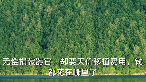 無償捐獻(xiàn)器官，卻要天價移植費(fèi)用，錢都花在哪里了